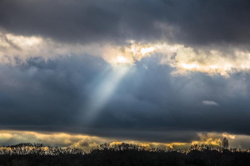 2017_12_17_Etang de Vaux (0014).jpg - Etang de Vaux (Decembre 2017)